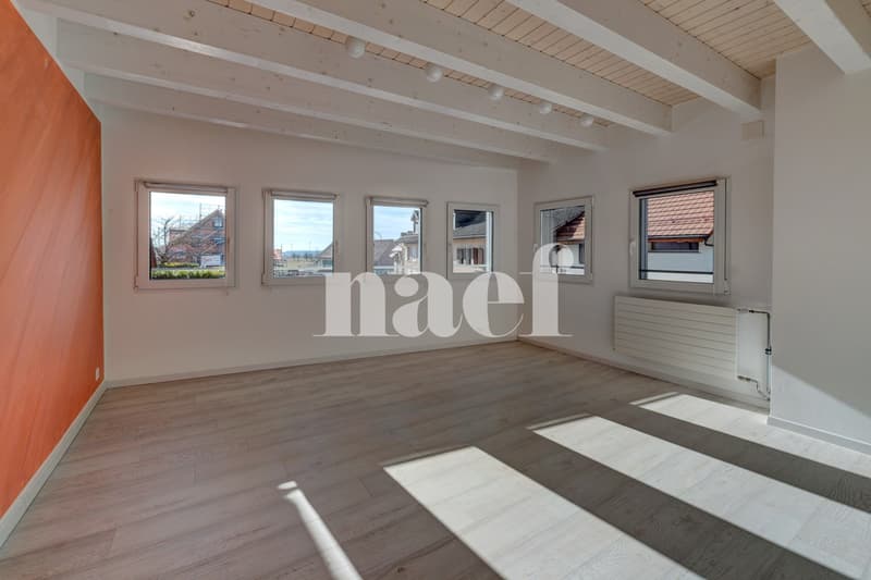 Village house with independent office space (10)