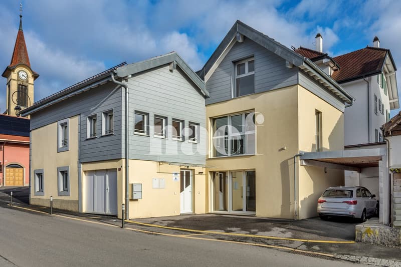 Village house with independent office space (1)