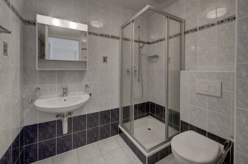 Semi-detached family villa with 5.5 rooms (10)