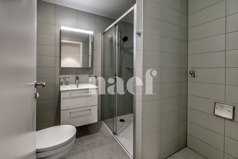 Magnificent 4.5-room apartment with balcony/loggia (8)