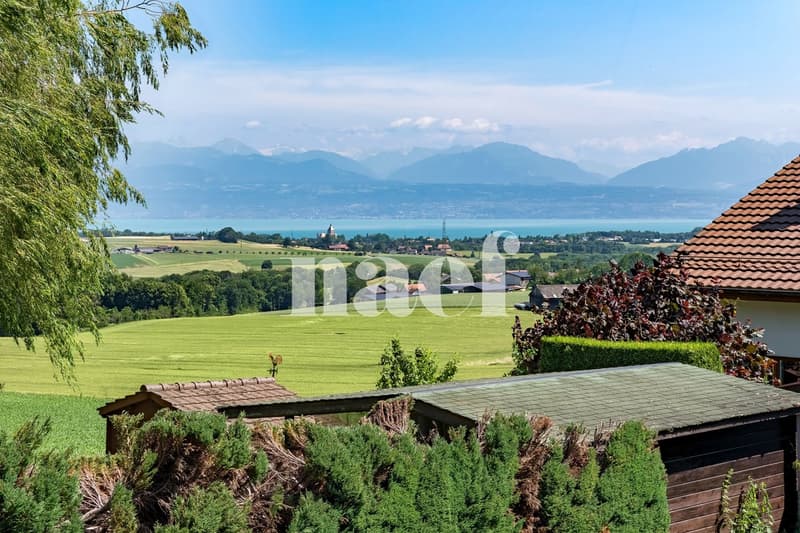Magnifique villa de 6 pièces entre nature et confort (12)