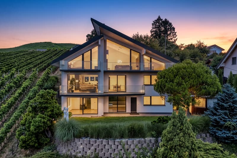 An architectural signature facing Lake Geneva (12)