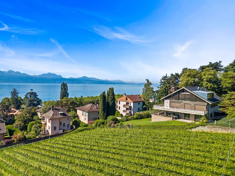 High-standard apartment in an exceptional environment between lake and vineyards (2)