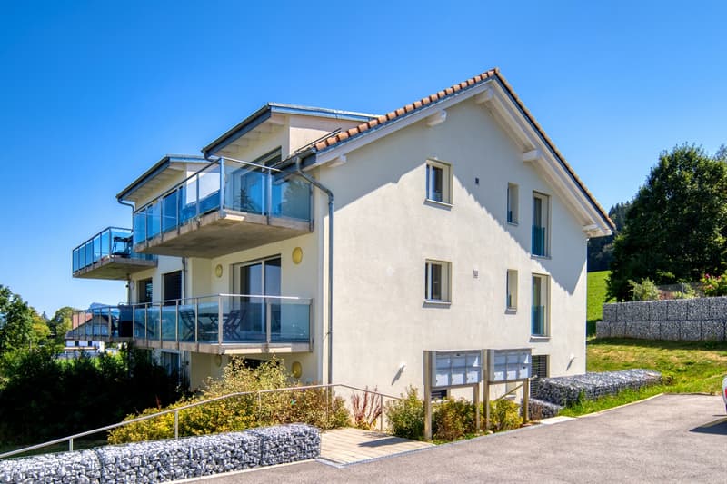 Bel appartement traversant de 3.5 pièces avec échappée lac (1)