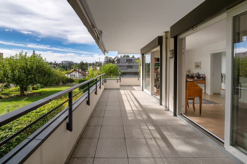 Magnifique appartement en duplex avec terrasse et jardin (1)