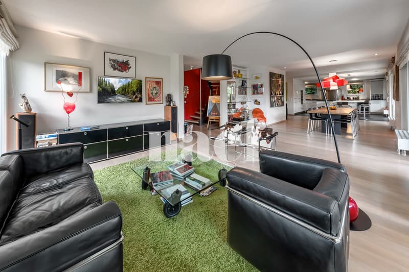 Magnifique appartement en duplex avec terrasse et jardin (2)