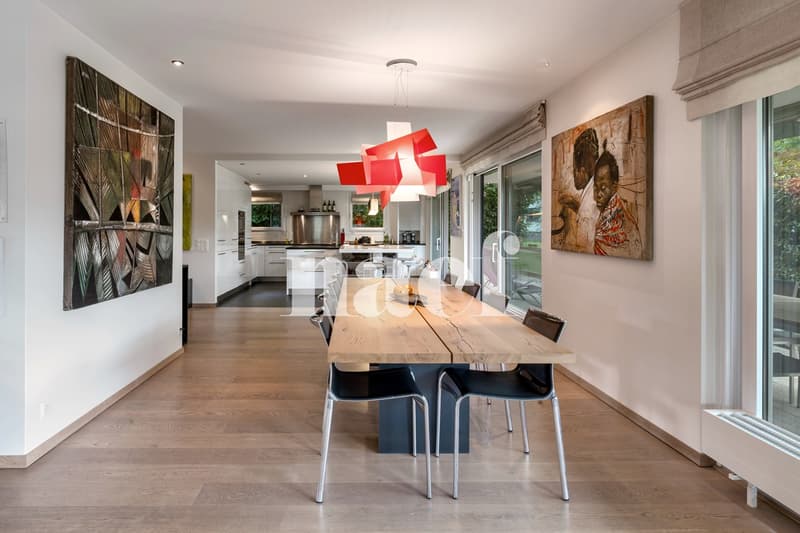 Magnifique appartement en duplex avec terrasse et jardin (4)