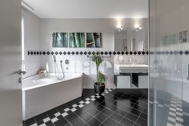 Magnifique appartement en duplex avec terrasse et jardin (9)