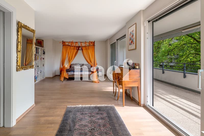 Magnifique appartement en duplex avec terrasse et jardin (8)