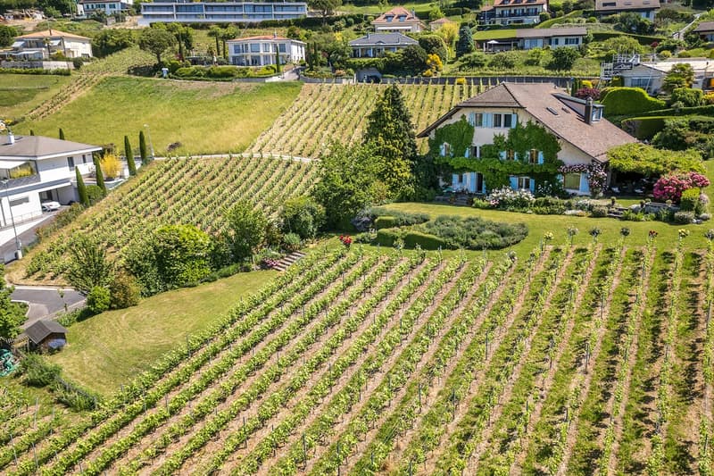 Demeure d'exception au coeur de Lavaux (2)
