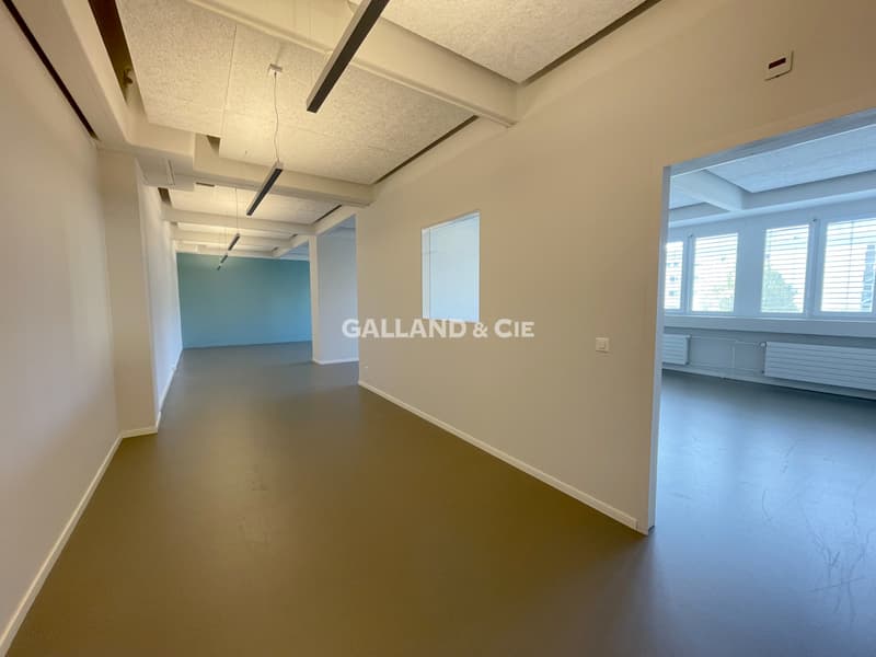 Surface de bureaux  - env. 192 m² (2)
