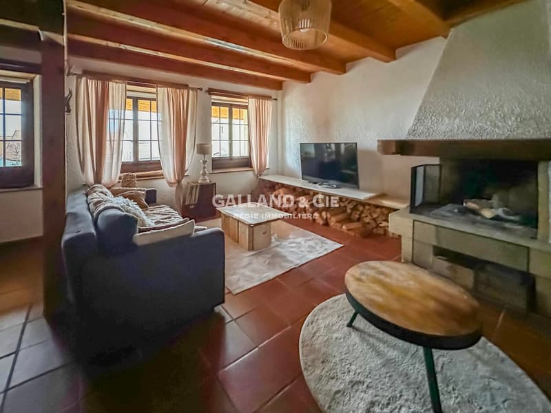 fireplace, TV, sofa, rug, coffee table, table lamp, open fireplace