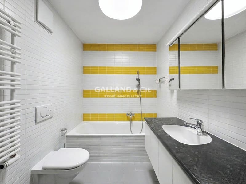 Near Chailly - Lausanne - Splendid 3.5 rooms - ~132 m² living space (7)