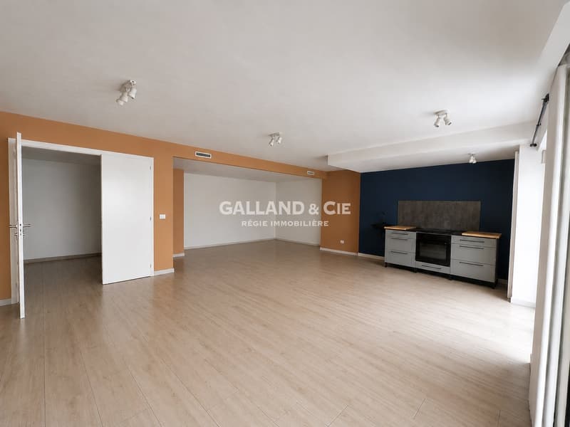 Généreuse surface pour profession médicale ou bureaux - ~164 m² (2)