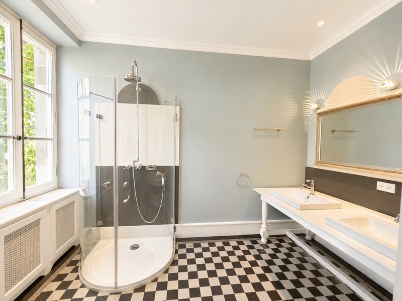 Manoir historique de 7 pièces à Lonay – disponible immédiatement (9)
