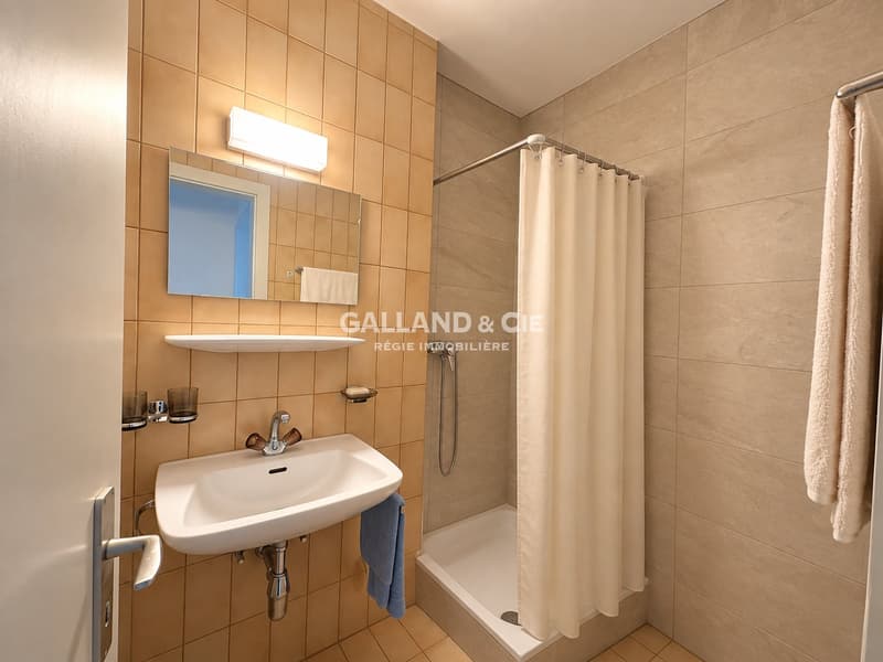Spacieux 3.5 pièces avec vue - ~ 130 m² - Quartier Mousquines-Verdeil (8)