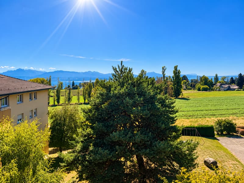 Superbe appartement rénové proche du lac (5)