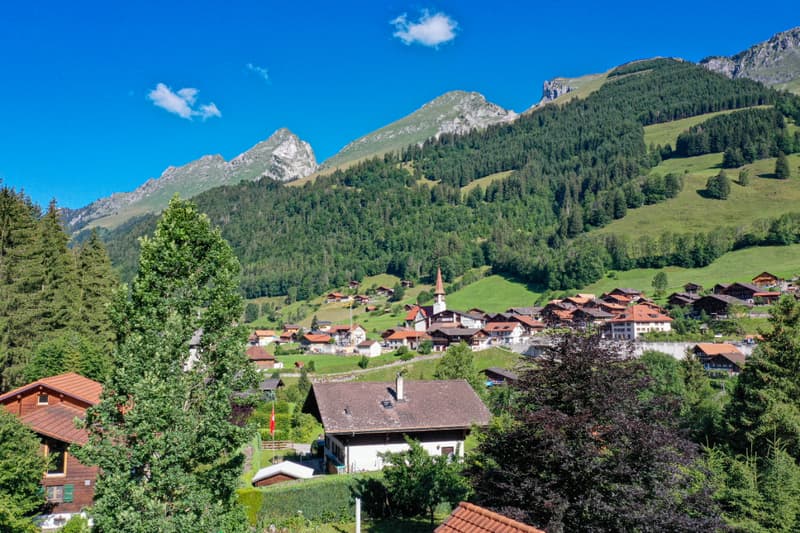 New and contemporary chalet in a green setting (4)