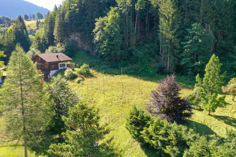 New and contemporary chalet in a green setting (5)