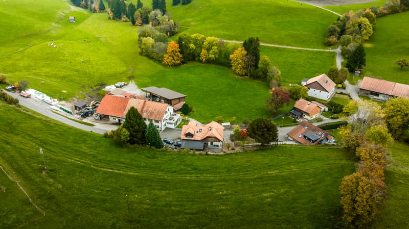 Casa dei sogni in zona agricola (3)