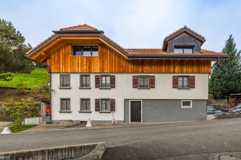 Casa dei sogni in zona agricola (2)