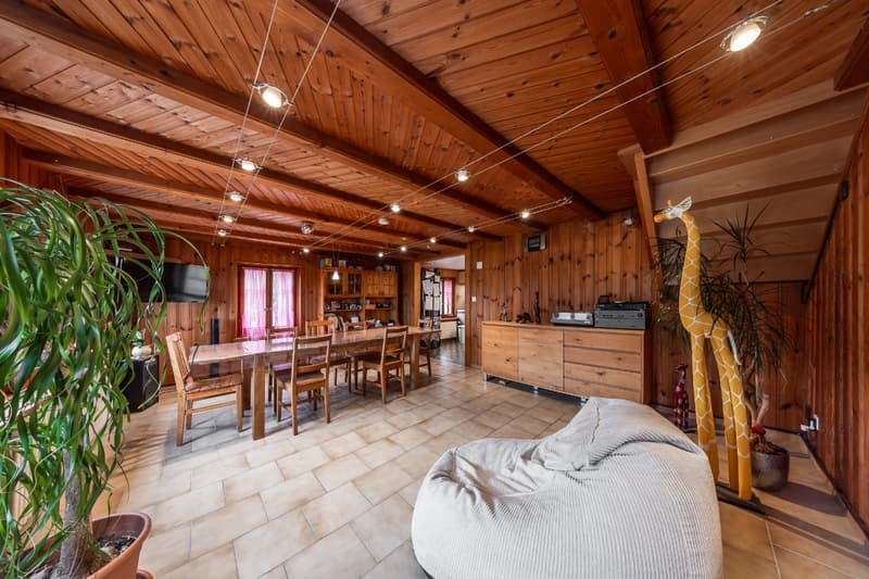 Casa dei sogni in zona agricola (9)