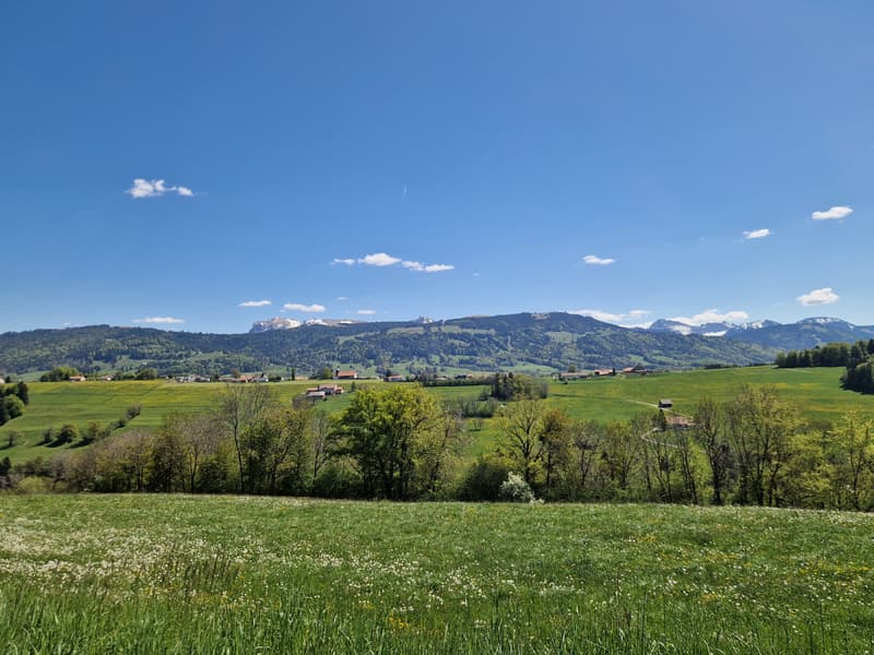 Opportunità: ville nuove tra Châtel-St-Denis e Bulle (2)