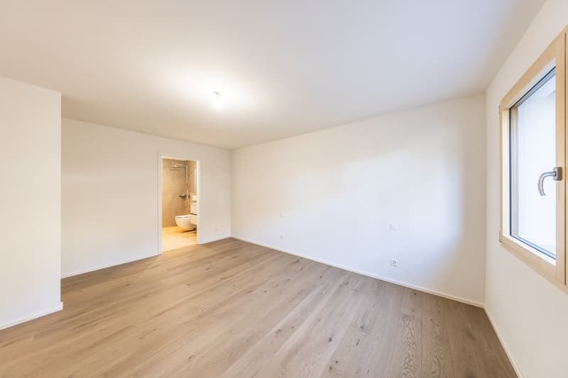 Last opportunity: brand new 4½ room apartment with large terrace (13)