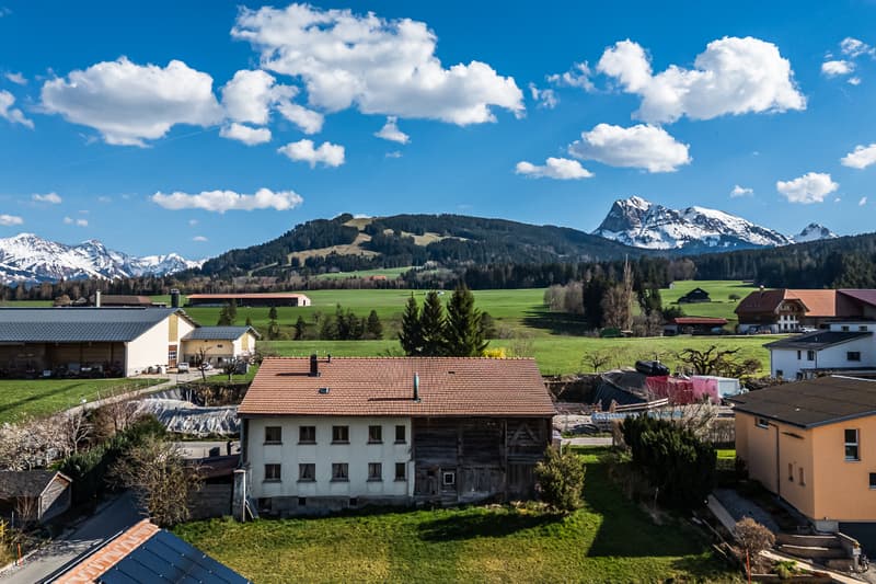 Not to be missed: individual farm with rural area in Gruyère (2)