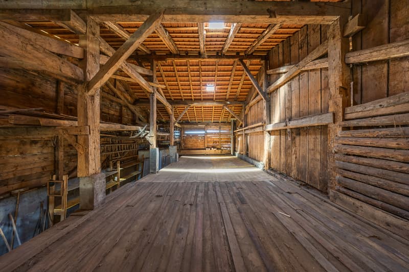 Not to be missed: individual farm with rural area in Gruyère (9)