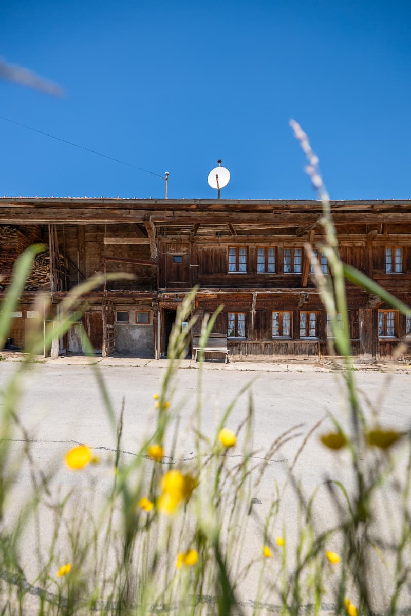 Not to be missed: individual farm with rural area in Gruyère (11)