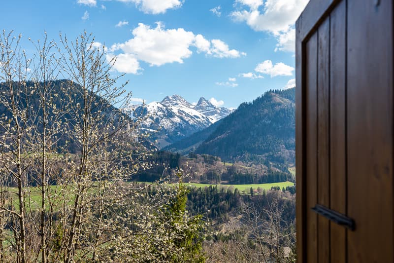 Your paradise in the middle of nature (3)