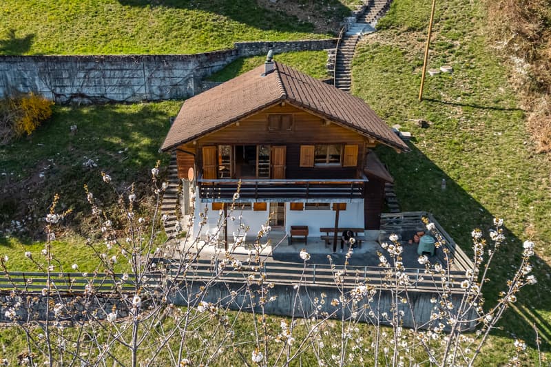 Your paradise in the middle of nature (1)