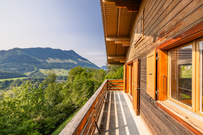 Your paradise in the middle of nature (6)
