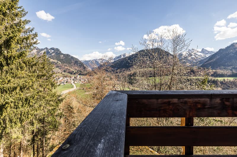 Your paradise in the middle of nature (12)