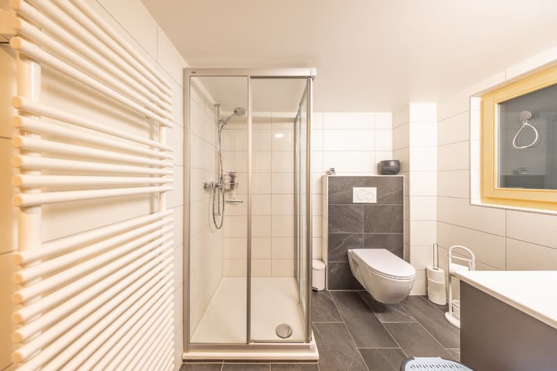 Bifamily property in a privileged natural environment (11)