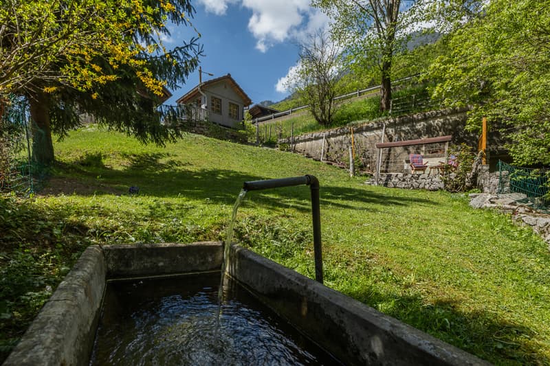 Bifamily property in a privileged natural environment (3)