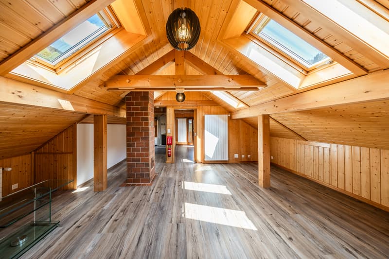 Bifamily property in a privileged natural environment (7)