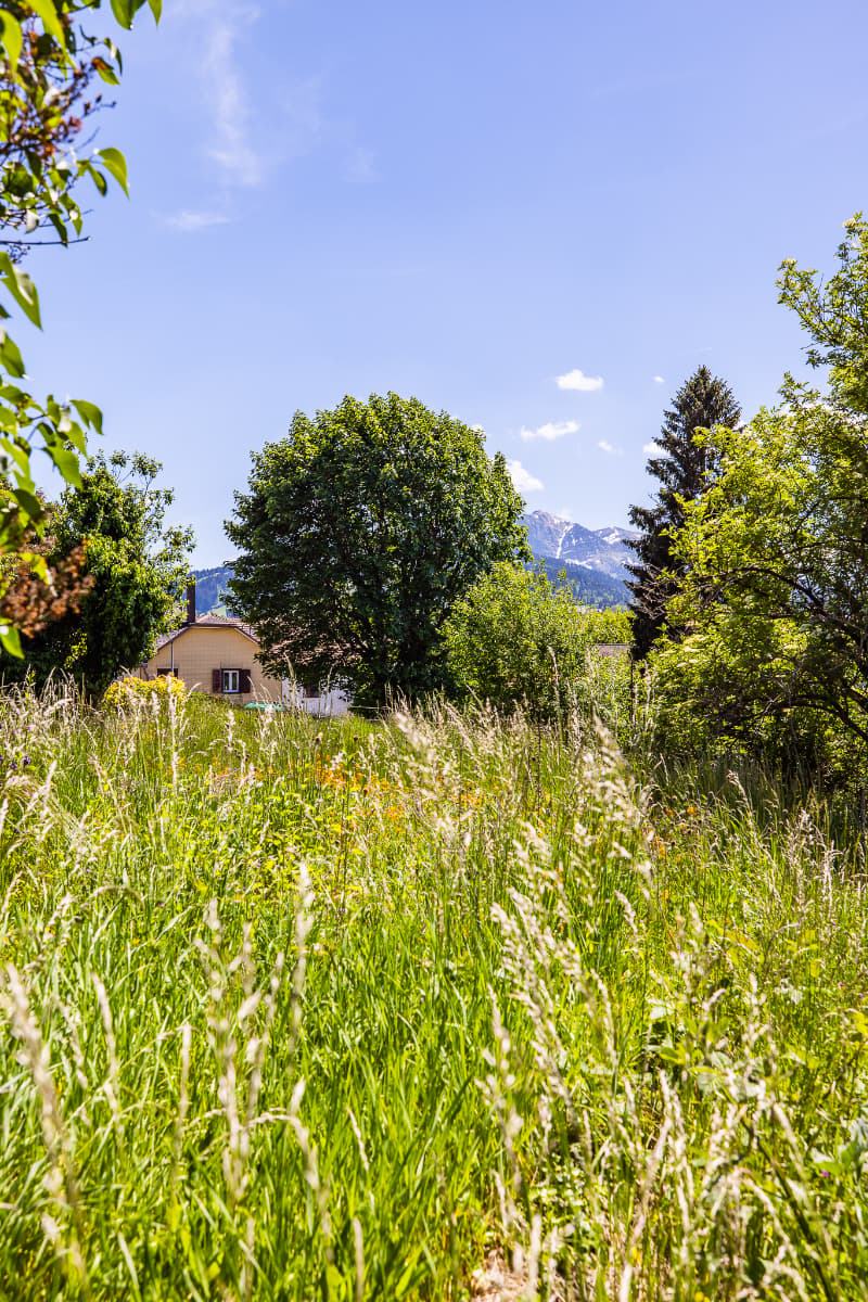 New 3½-room apartment in the heart of Gruyère (9)