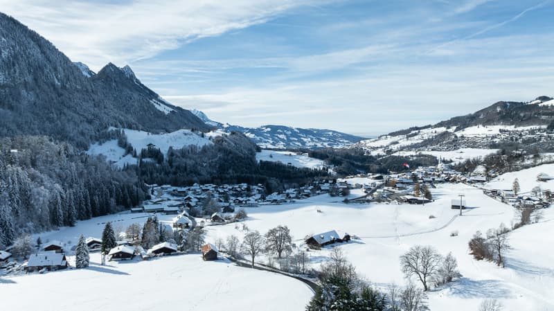 New high-standard project: prealpine beauty at sunset (3)