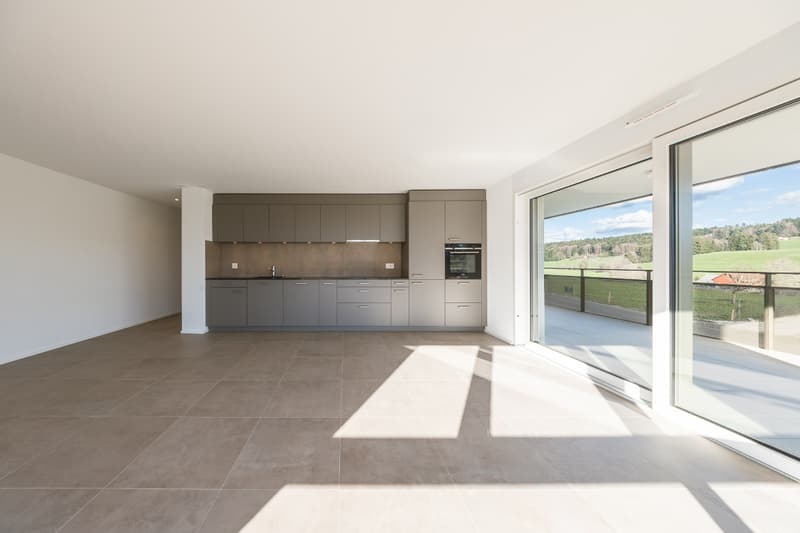 Neue 3½-Zimmer-Wohnung im 2. Stock: letzte verfügbar (5)