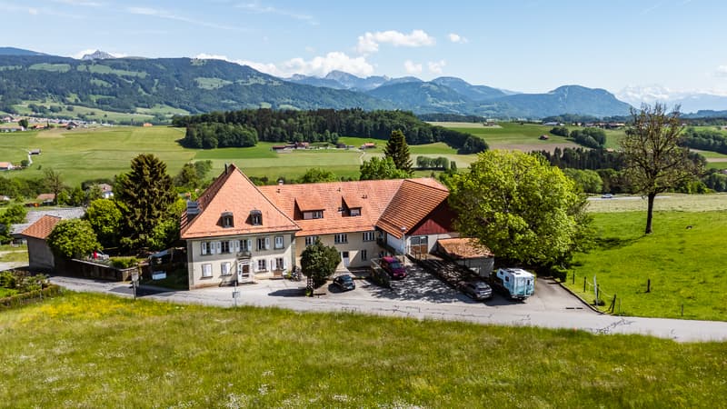 Seltene Gelegenheit: Großes Anwesen mit Bauopotenzial (10)