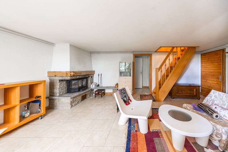 Chalet in einem grünen Ambiente: Lage und Grundstück von Ausnahme (7)