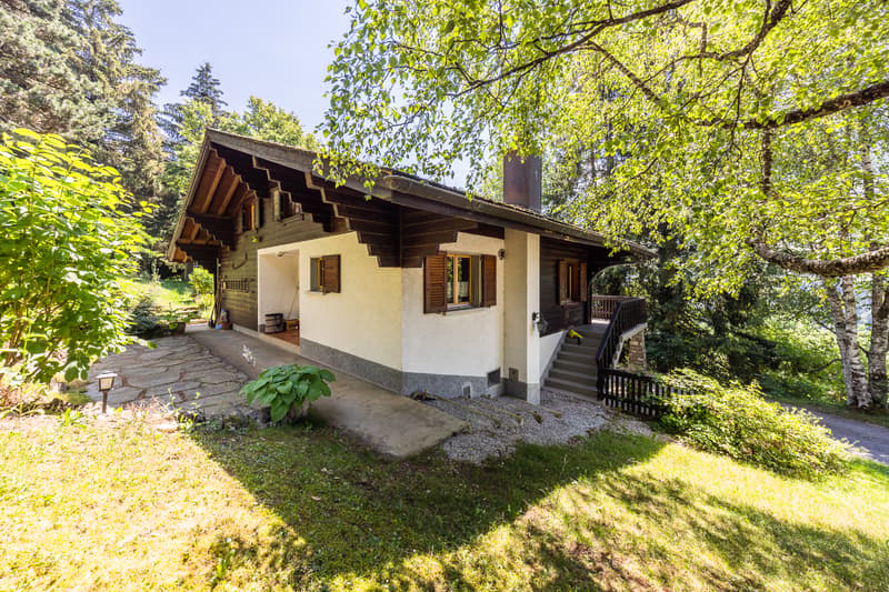 Chalet in einem grünen Ambiente: Lage und Grundstück von Ausnahme (4)