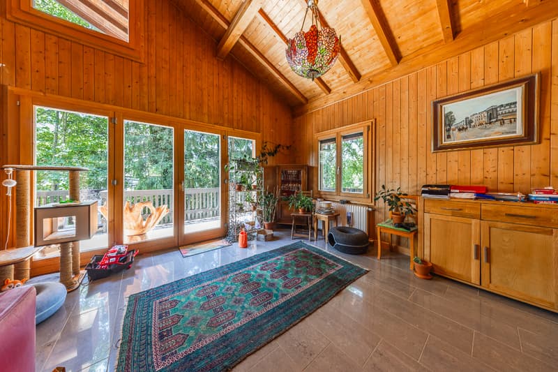 Chalet in einem grünen Ambiente: Lage und Grundstück von Ausnahme (6)