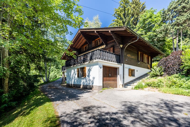 Chalet in einem grünen Ambiente: Lage und Grundstück von Ausnahme (2)