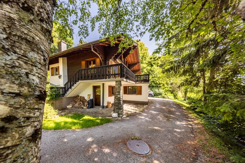 Chalet in einem grünen Ambiente: Lage und Grundstück von Ausnahme (3)