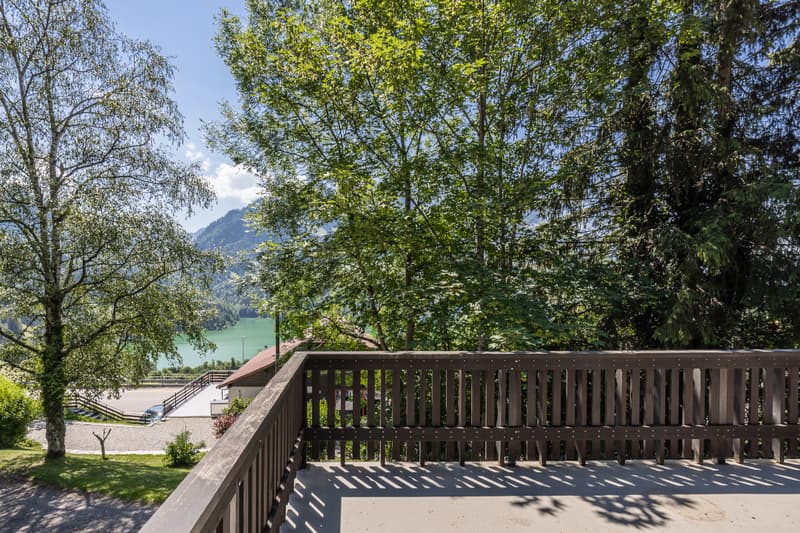 Chalet in einem grünen Ambiente: Lage und Grundstück von Ausnahme (5)