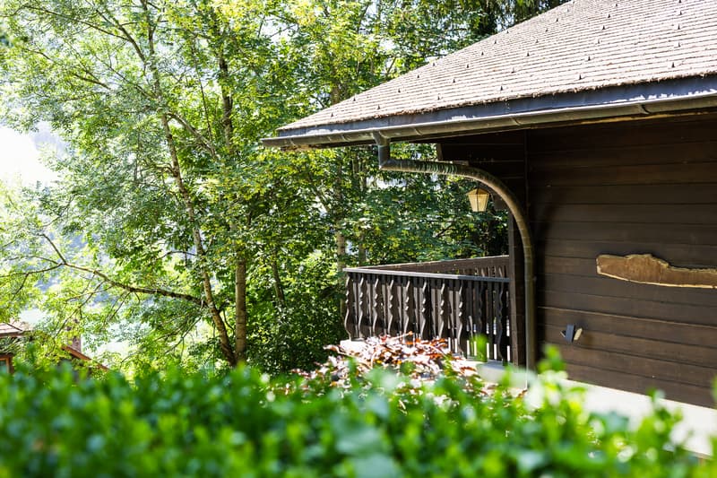 Chalet in einem grünen Ambiente: Lage und Grundstück von Ausnahme (1)