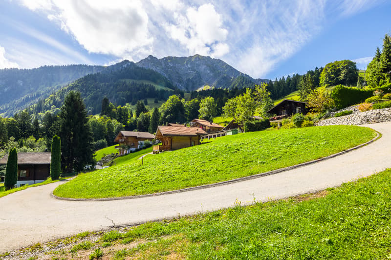 New project: experiencing alpine beauty in everyday life (9)